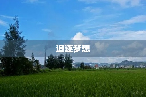 追逐梦想,坚定前行 追逐梦想,坚定前行