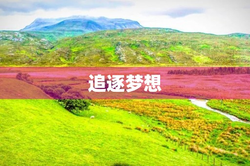 追逐梦想，让生命更有意义