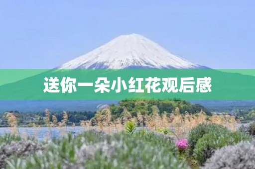 送你一朵小红花观后感 送你一朵小红花观后感