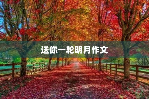 送你一轮明月作文 送你一轮明月作文