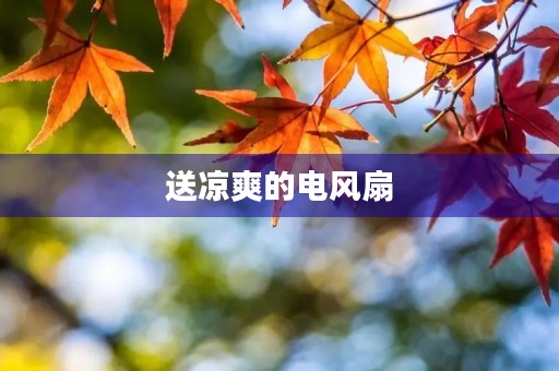 送凉爽的电风扇 送凉爽的电风扇