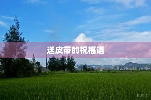 送皮带的祝福语,赞美皮带的句子 送皮带的祝福语,赞美皮带的句子