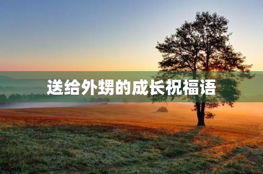 送给外甥的成长祝福语(鼓励外甥的经典语句)