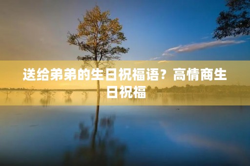 送给弟弟的生日祝福语?高情商生日祝福