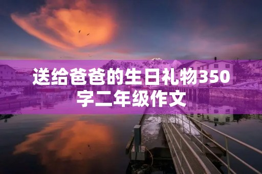 送给爸爸的生日礼物350字二年级作文
