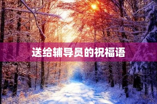 送给辅导员的祝福语,想对大学辅导员说的话