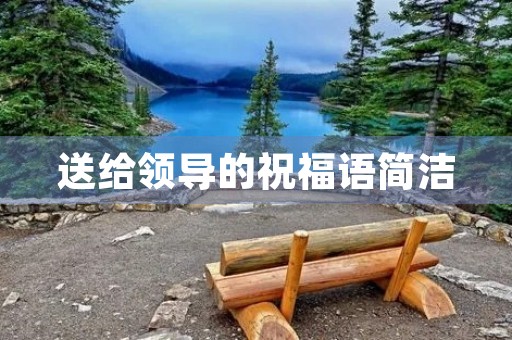 送给领导的祝福语简洁,送行领导的简短佳句精选