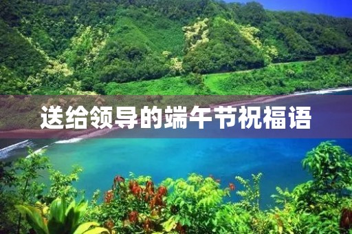 送给领导的端午节祝福语，感谢领导的话语简单