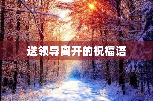 送领导离开的祝福语，领导调走了,下属的感谢话