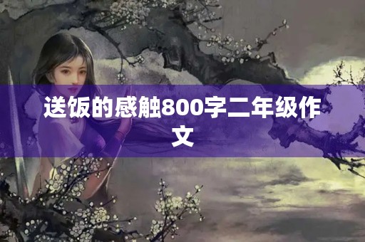 送饭的感触800字二年级作文