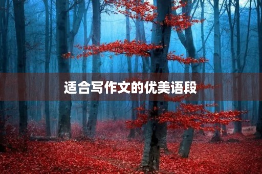 适合写作文的优美语段