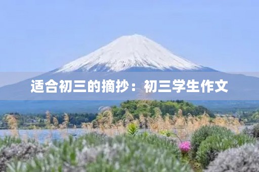 适合初三的摘抄：初三学生作文