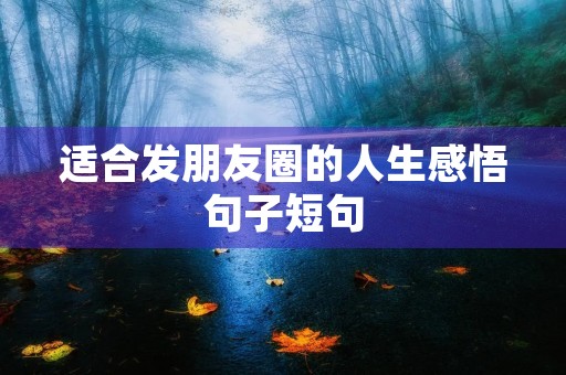 适合发朋友圈的人生感悟句子短句(人生感悟 ：致自己 !(精辟))