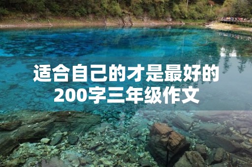 适合自己的才是最好的200字三年级作文 适合自己的才是最好的200字三年级作文