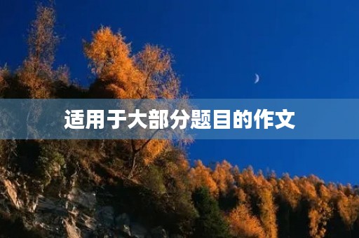 适用于大部分题目的作文