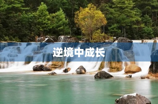 逆境中成长