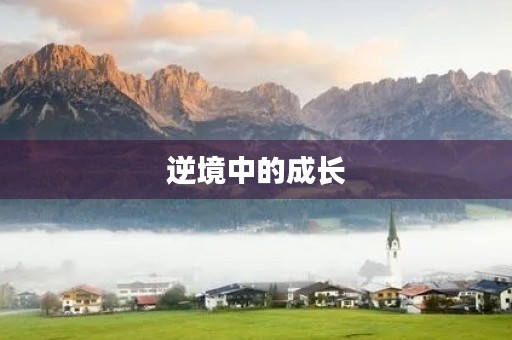 逆境中的成长 逆境中的成长