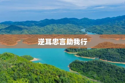 逆耳忠言助我行