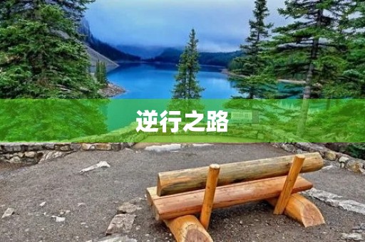 逆行之路