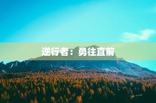 逆行者:勇往直前,破茧成蝶 逆行者:勇往直前,破茧成蝶