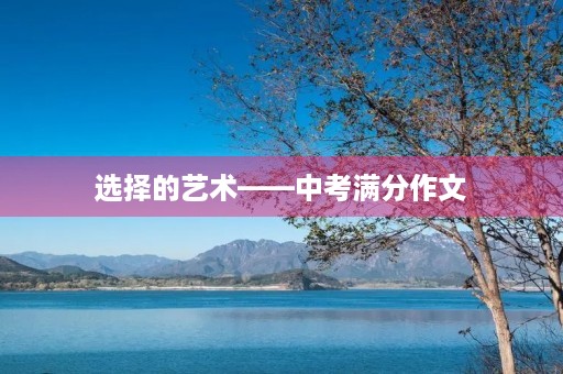 选择的艺术——中考满分作文