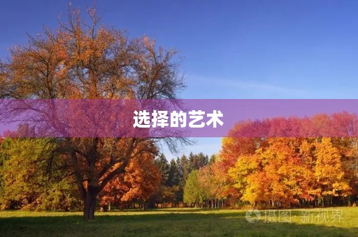 选择的艺术