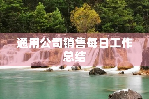 通用公司销售每日工作总结