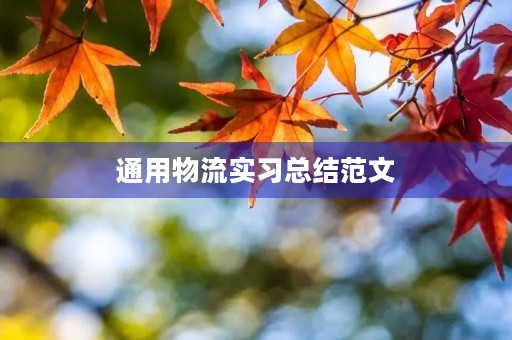 通用物流实习总结范文 通用物流实习总结范文