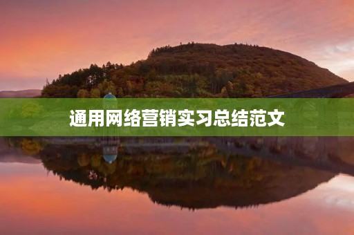 通用网络营销实习总结范文 通用网络营销实习总结范文
