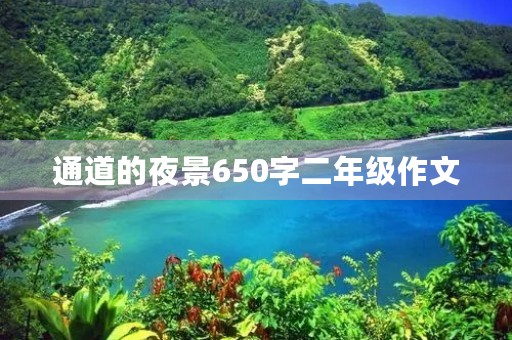 通道的夜景650字二年级作文