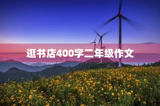 逛书店400字二年级作文