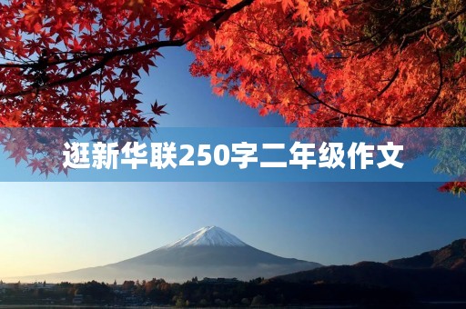逛新华联250字二年级作文
