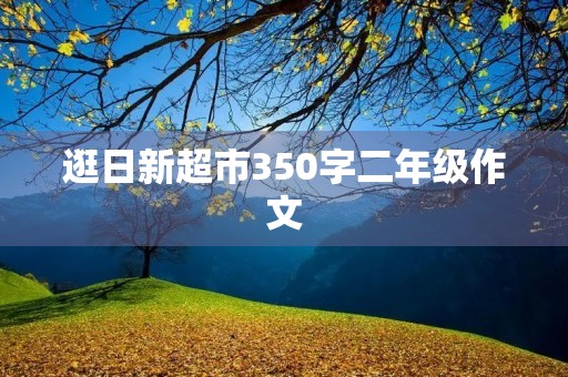 逛日新超市350字二年级作文