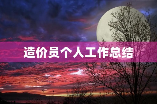 造价员个人工作总结
