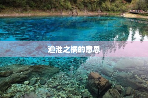 逾淮之橘的意思 逾淮之橘的意思