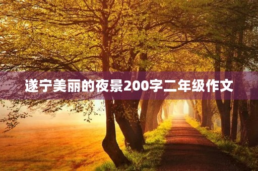 遂宁美丽的夜景200字二年级作文