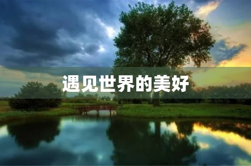 遇见世界的美好