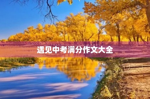 遇见中考满分作文大全