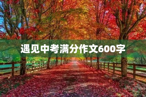 遇见中考满分作文600字 遇见中考满分作文600字