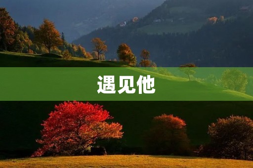 遇见他,遇见了一段美好的时光 遇见他,遇见了一段美好的时光