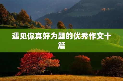 遇见你真好为题的优秀作文十篇 遇见你真好为题的优秀作文十篇