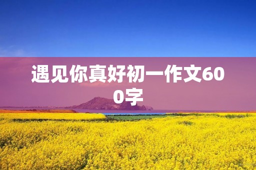 遇见你真好初一作文600字 遇见你真好初一作文600字
