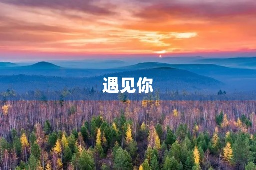 遇见你，是我的缘
