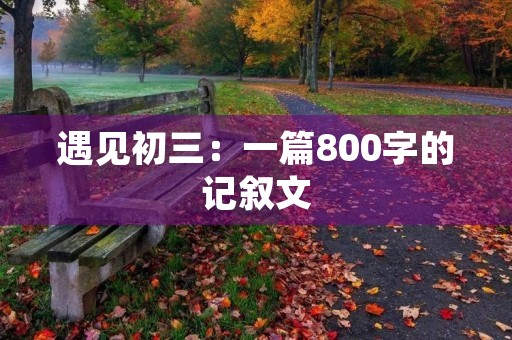 遇见初三：一篇800字的记叙文