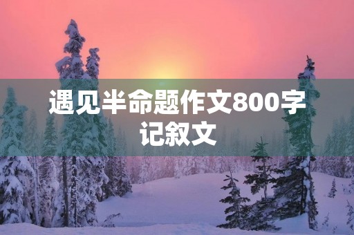 遇见半命题作文800字记叙文