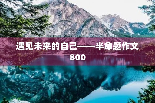 遇见未来的自己——半命题作文800