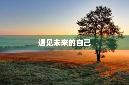 遇见未来的自己 遇见未来的自己