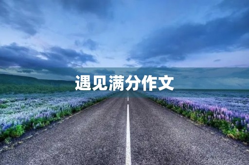 遇见满分作文 遇见满分作文