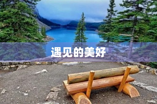 遇见的美好