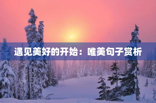 遇见美好的开始:唯美句子赏析 遇见美好的开始:唯美句子赏析